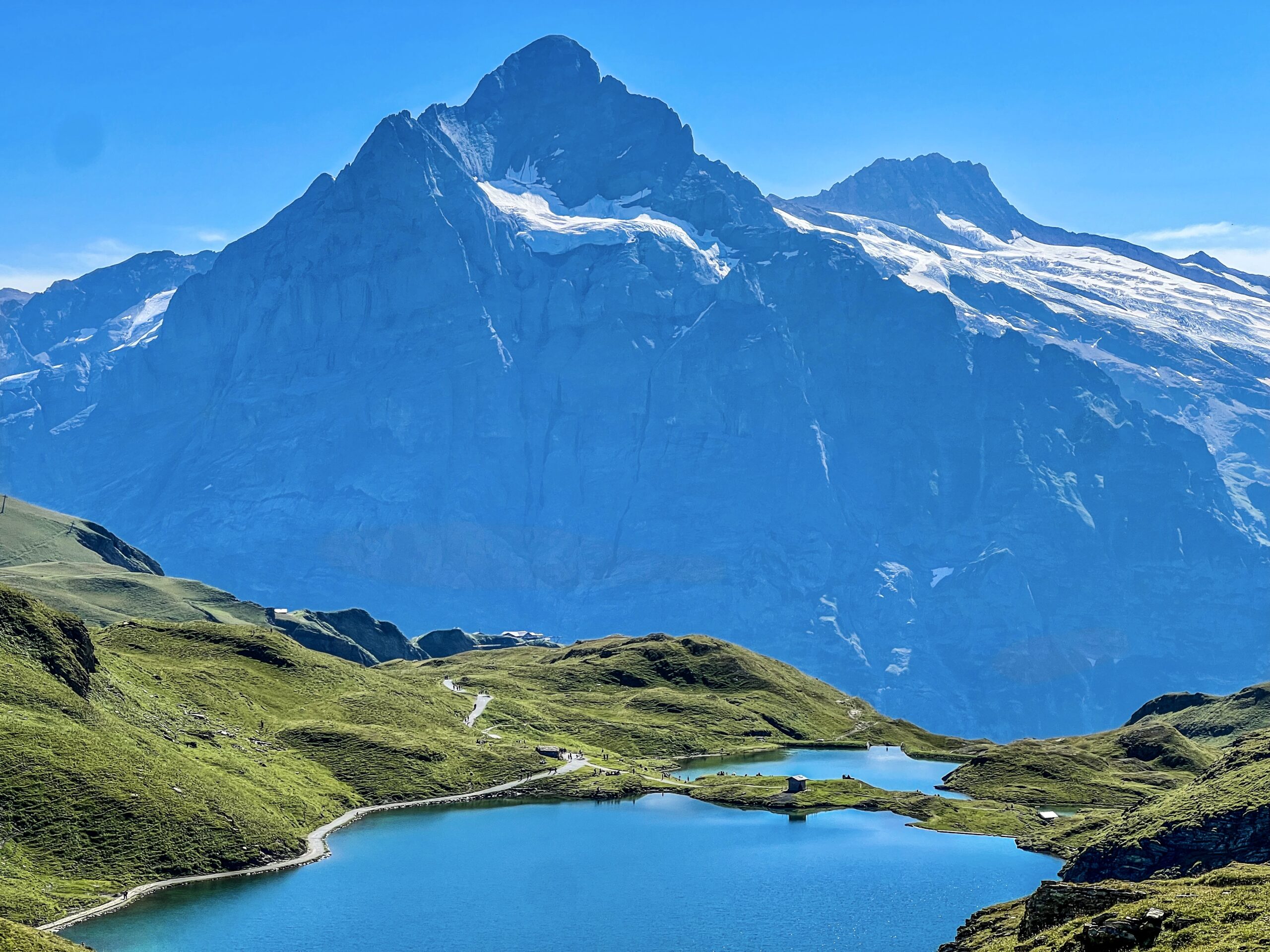 Grindelwald to Schynige Platte photo 6