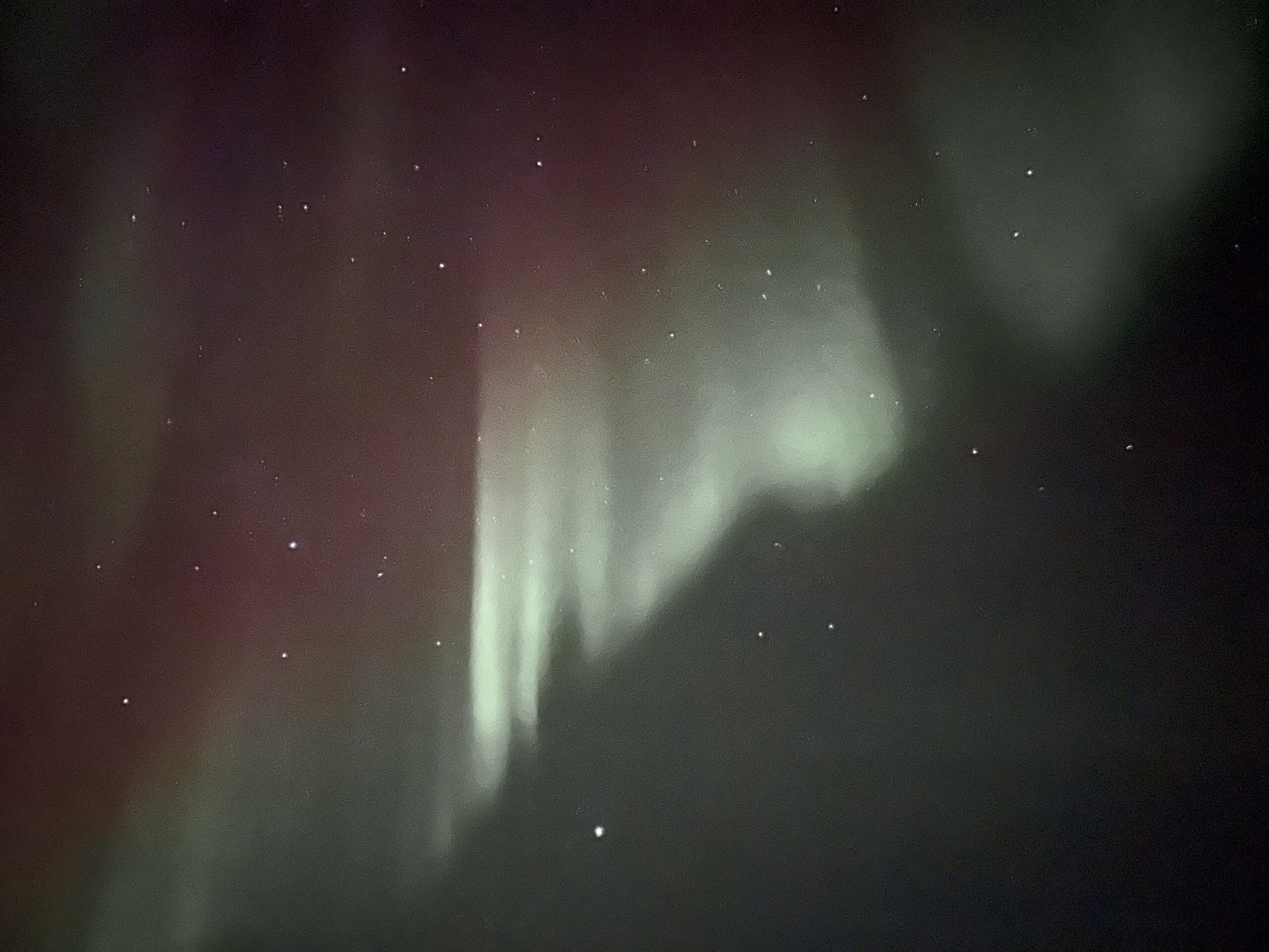 Northern Lights in Senja photo 1