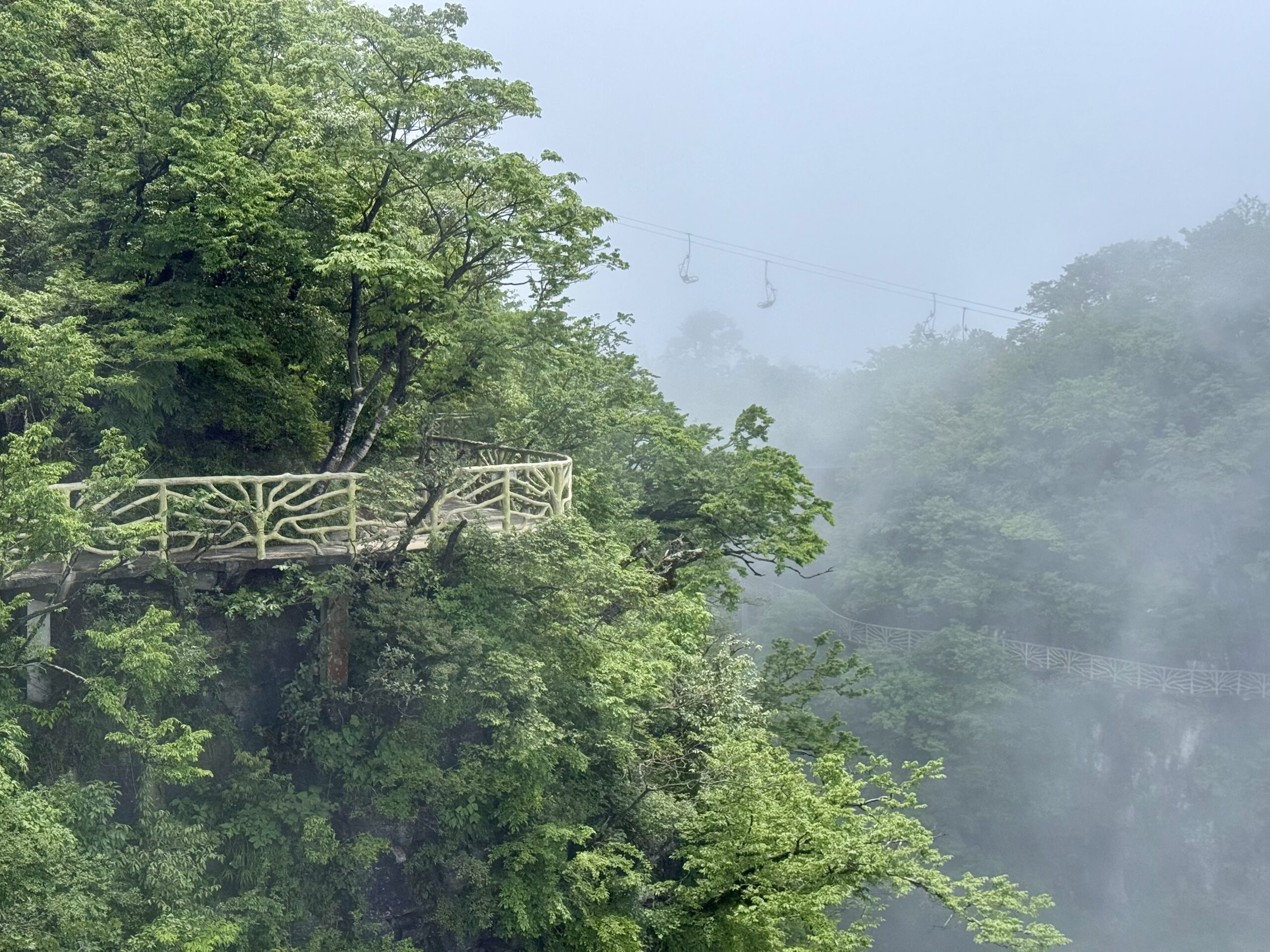 Misty mountain walkway surrounded by forest on Tianmen Mountain
